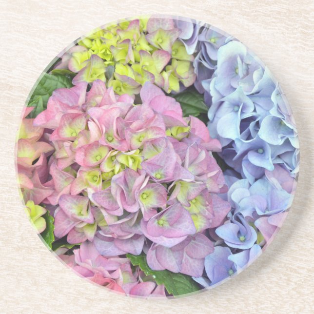 Colourful hydrangea flowers coaster (Front)