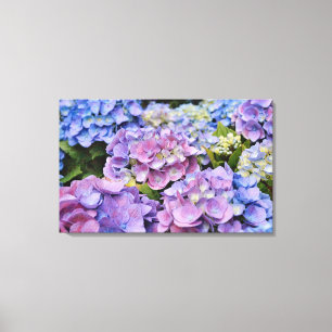 Colourful Hydrangea Flowers Photographic Art Canvas Print