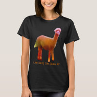 Colourful I Just Really Like LLamas OK Funny Anima