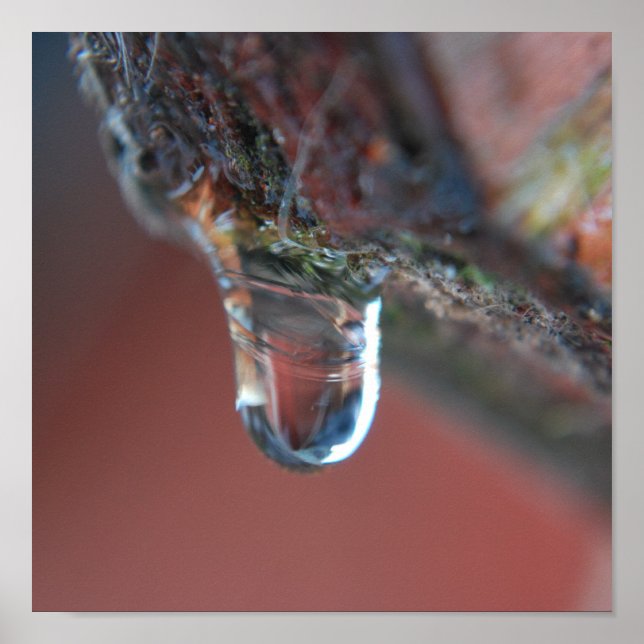 Colourful icicle poster (Front)