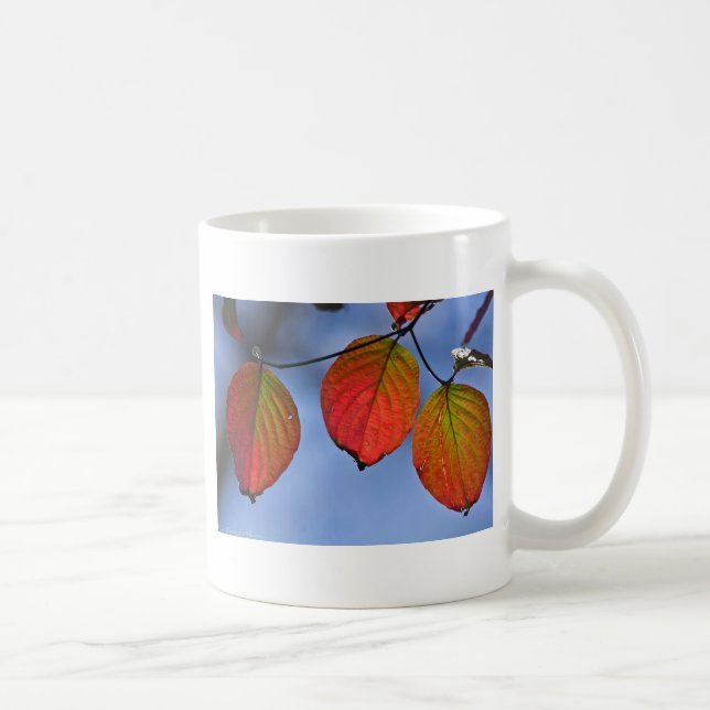 Colourful Illuminated Autumn Leaves Trio Coffee Mug (Right)