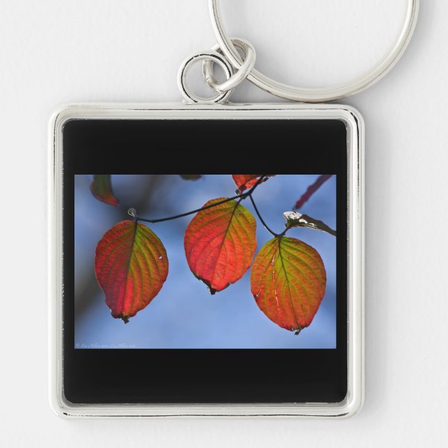Colourful Illuminated Autumn Leaves Trio Key Ring (Front)