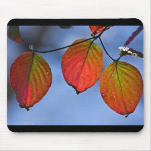 Colourful Illuminated Autumn Leaves Trio Mouse Mat