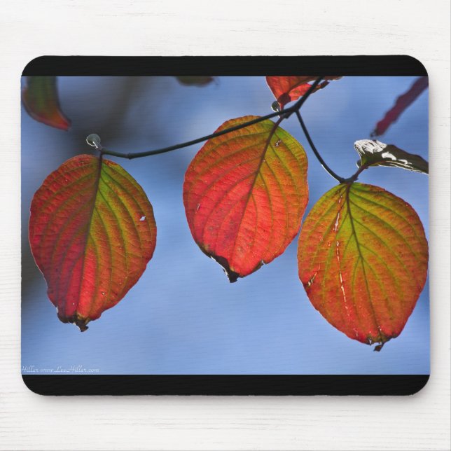 Colourful Illuminated Autumn Leaves Trio Mouse Mat (Front)