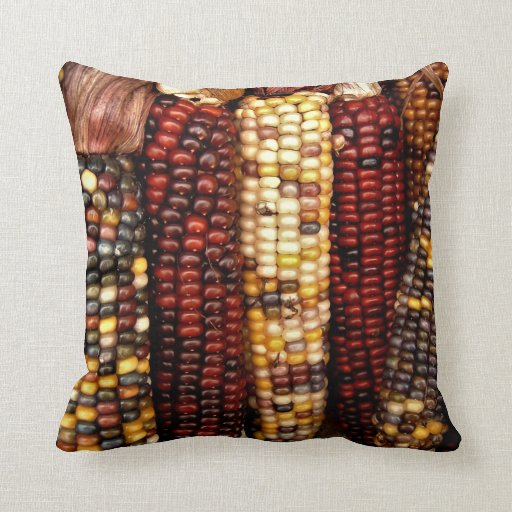 Image of Colourful Indian Corn Kernels Photo Cushion