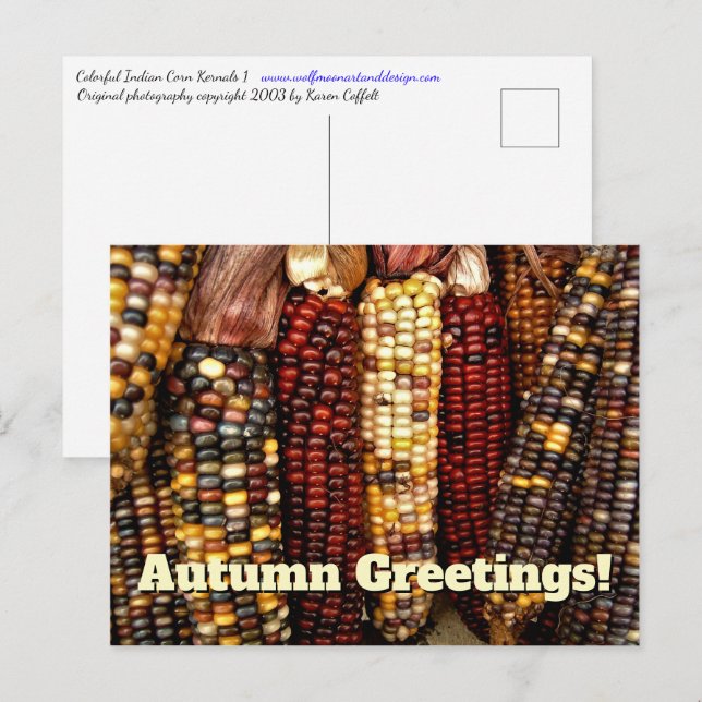 Colourful Indian Corn Kernels Photo Postcard (Front/Back)