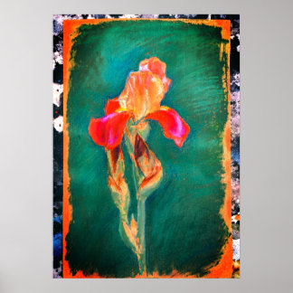 Colourful Iris Flower Poster