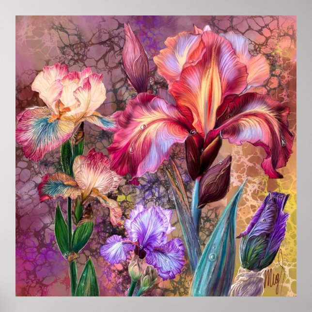 Colourful Irises Poster (Front)