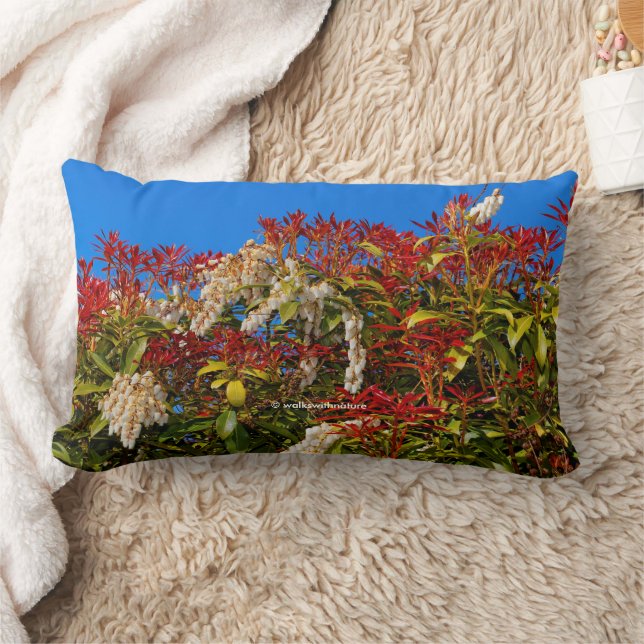 Colourful Japanese Andromeda Bonfire Shrub Lumbar Cushion (Blanket)