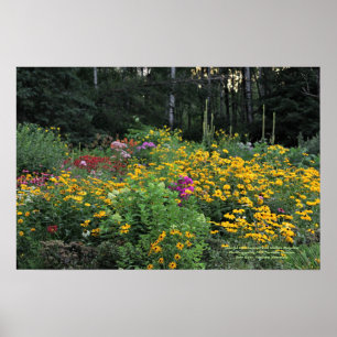 Colourful  Late Summer Tall Wild Mullein Poster