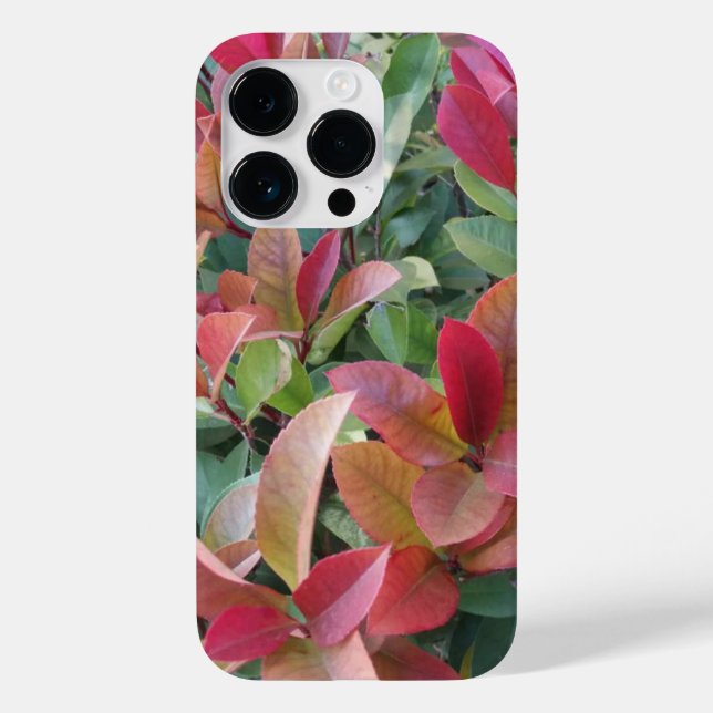  Colourful Leave  Case-Mate iPhone Case (Back)