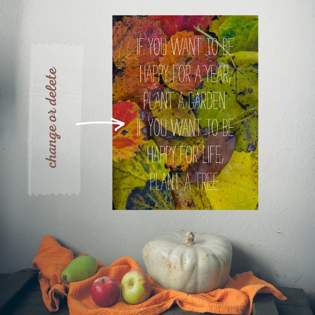 Colourful leaves after rain poster (Creator Uploaded)