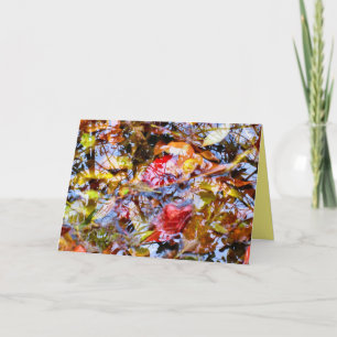 Colourful Leaves Shapes Tree Reflections in Water  Card