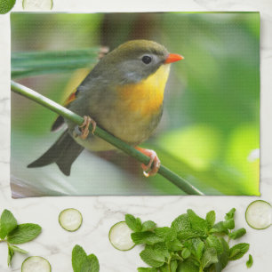 Colourful Leiothrix / Pekin Robin Songbird Tea Towel
