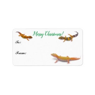 Colourful Leopard Gecko Lizard Christmas Gift Tag