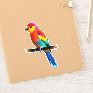 Colourful little bird