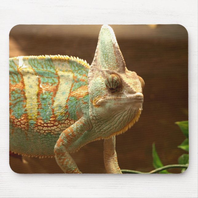 colourful lizzard mouse mat (Front)