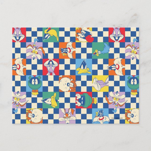 Colourful LOONEY TUNES™ Chequered Toss Pattern Postcard (Front)