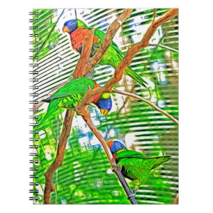 Colourful Loris on a branch - parrots Notebook