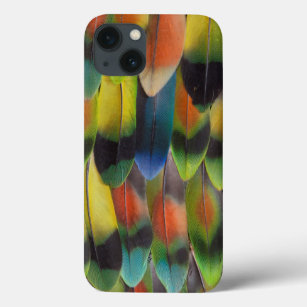 Colourful Lovebird Tail Feathers Case-Mate iPhone Case