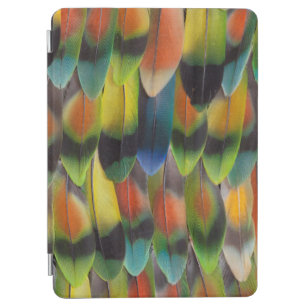Colourful Lovebird Tail Feathers iPad Air Cover