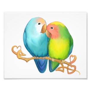 Colourful Lovebirds Photo Print