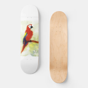 Colourful Macaw Bird Art Skateboard