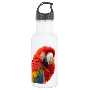 Colourful Macaw Chic Classy Mod Tropical 532 Ml Water Bottle