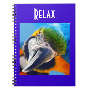 Colourful Macaw Notebook