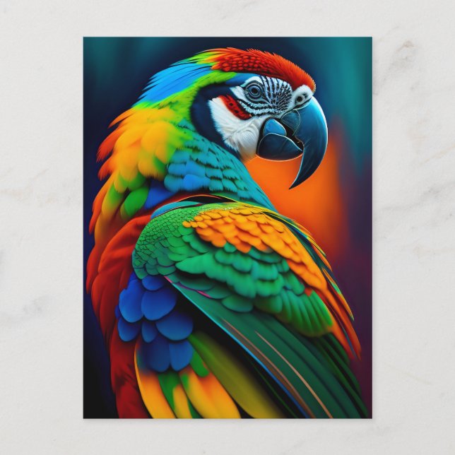 Colourful Macaw Parrot Bird Painting Postcard (Front)