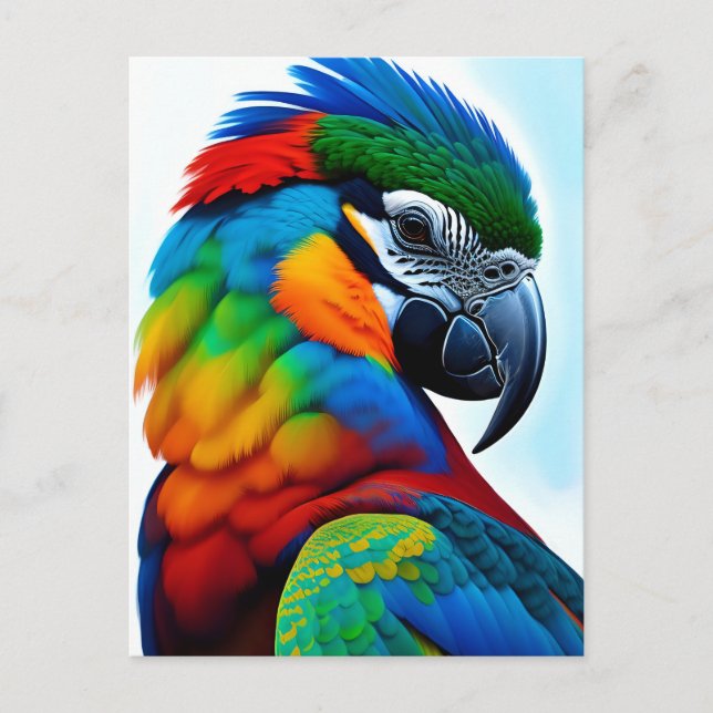 Colourful Macaw Parrot Bird Painting Postcard (Front)