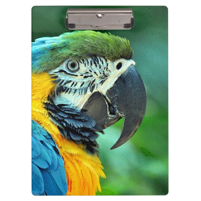 Colourful macaw parrot clipboard (Front)