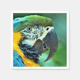 Colourful macaw parrot napkin