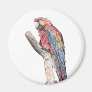 Colourful Macaw Parrot Watercolor Magnet