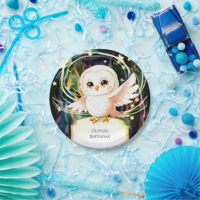 Colourful Magical Owl Birthday Paper Plate (Party)
