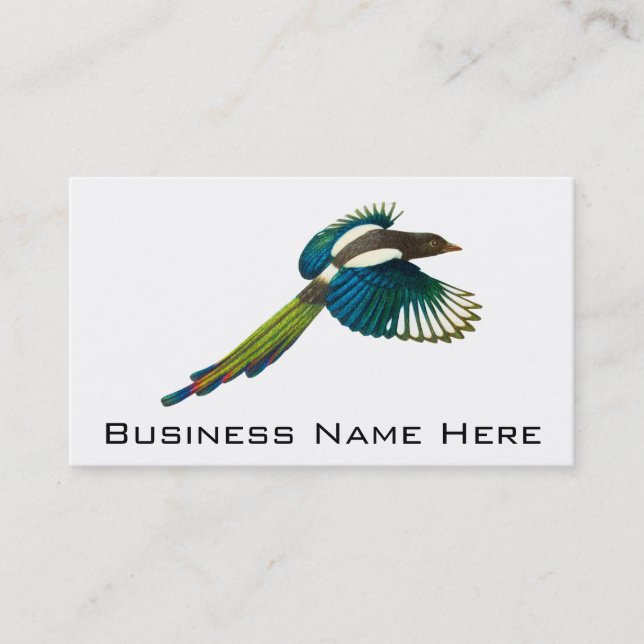 Colourful Magpie Bird, Vintage Illustration Business Card (Front)