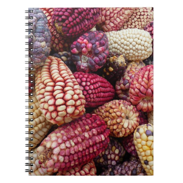 Colourful Maize Notebook (Front)