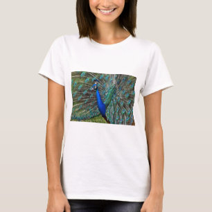 Colourful male peacock T-Shirt