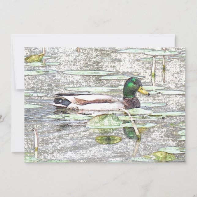 Colourful Mallard duck Art Retirement invitation (Front)