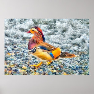 Colourful Mandarin Duck at the Lake Poster