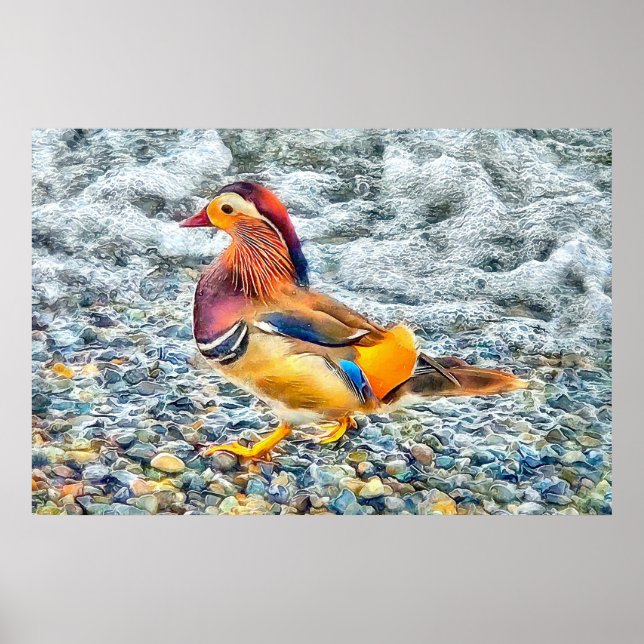 Colourful Mandarin Duck at the Lake Poster (Front)