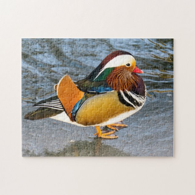 Colourful Mandarin Duck Photo Puzzle (Horizontal)