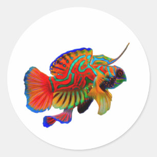 ​Colourful Mandarinfish Die-Cut Decal - Exotic Ree Classic Round Sticker