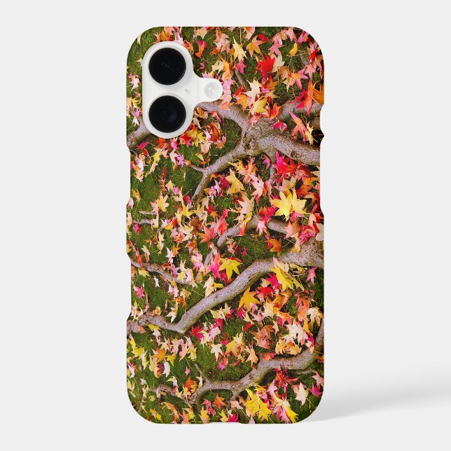 Colourful Maple Leaf (Back)