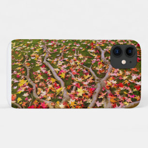 Colourful Maple Leaf iPhone 11 Case