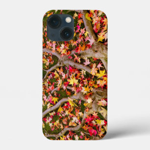 Colourful Maple Leaf iPhone 13 Mini Case