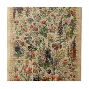 Colourful Meadow Flowers Herbs Dictionary Art Tile