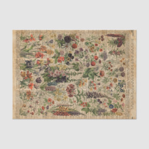 Colourful Meadow Flowers Herbs Dictionary Art Tissue Paper