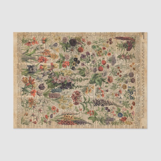 Colourful Meadow Flowers Herbs Dictionary Art Tissue Paper (Front)