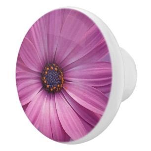 Colourful Medley of African Daisies Flowers Ceramic Knob